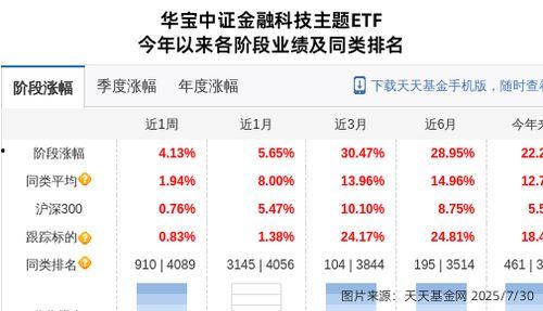 和平基金最新爆料,深度解析国际和平发展新动向